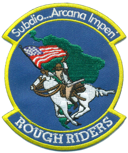 USAF Rough Riders Patch