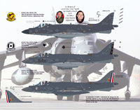AV-8B NA / II Plus Hell Raising Harriers