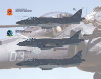 AV-8B NA / II Plus Hell Raising Harriers