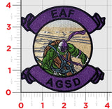 Official 29 Palms AGSD Aviation Ground Support Detachment Turtles Patch