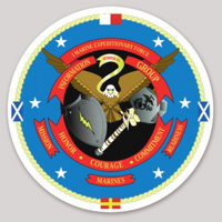 1st Marine Expeditionary Force Information Group sticker