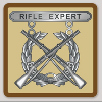 Official Rifle Expert Shooting Badge Sticker