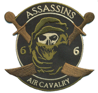 US Army 6/6 Air Cav Assassins