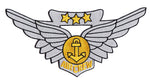 Large Naval Aircrew Combat Wings Patch