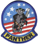 Official US Navy F-35 Panther Patch