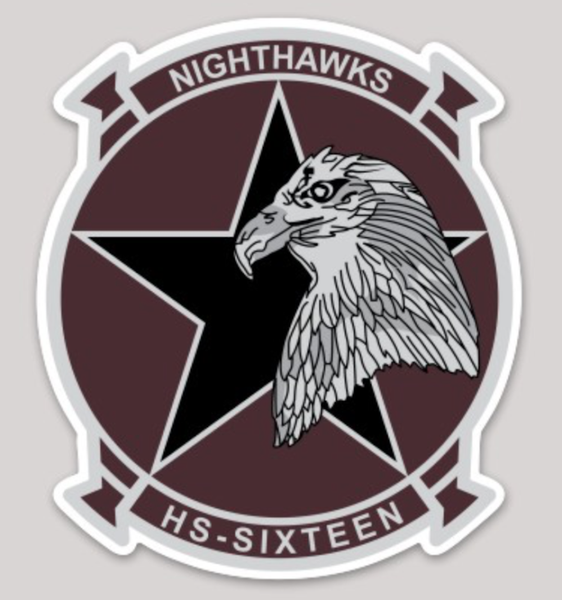 Officially Licensed HS-16 Nighthawks sticker