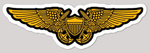 Navy/USMC NFO/WSO Wings sticker