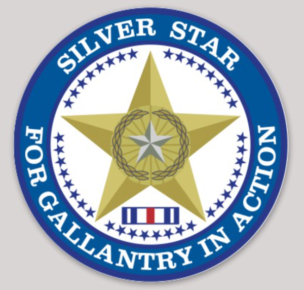 Silver Star Sticker