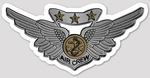 USMC Combat Air Crew Wings Sticker