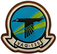 VAQ-135 Black Ravens Leather Squadron Patches