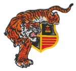 VMFA(AW)-224 Fighting Bengals Patch