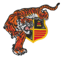 VMFA(AW)-224 Fighting Bengals Patch