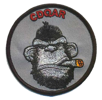 Official VMM-263 Ready Ape Qual Patches