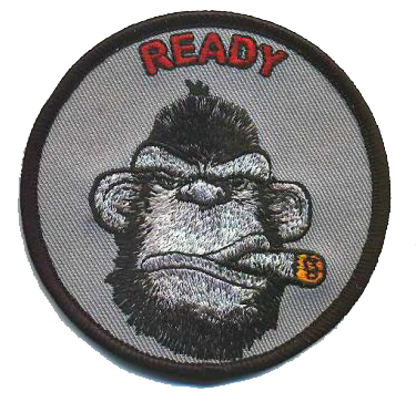 Official VMM-263 Ready Ape Qual Patches