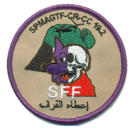 Official VMM-364 Purple Fox Iraq Deployment Qualification Patches