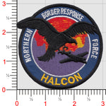 Legacy US Customs, Operation Halcon Patch