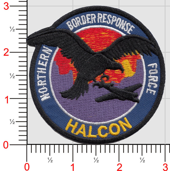 Legacy US Customs, Operation Halcon Patch
