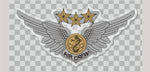 Combat Aircrew Wings Sticker