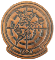 Officially Licensed US Navy VX-31 Dust Devils Leather Patches