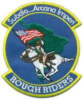USAF Rough Riders Patch