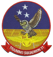 Officially Licensed US Navy VT-31 Wise Owls Squadron Patches
